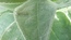 User post image