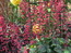User post image