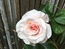 User post image