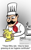User post image