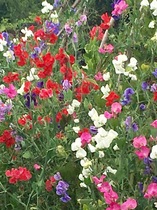 User post image