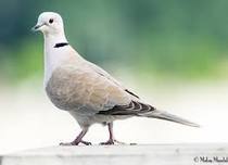 User post image