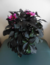 User post image