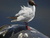 User post image