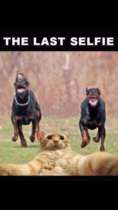 User post image