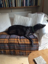 User post image