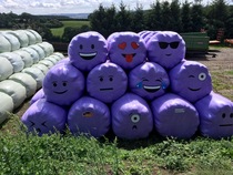 User post image