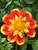 User post image