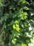 User post image