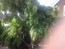 User post image