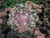 User post image