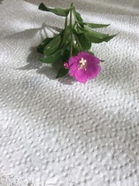 User post image