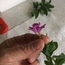 User post image