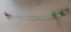 User post image