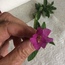 User post image