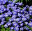 User post image