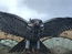 User post image