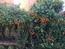 User post image
