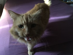 User post image