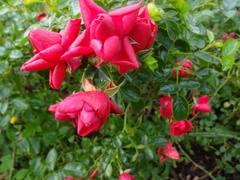 User post image
