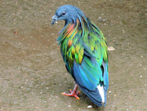 User post image