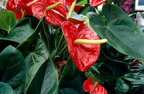 User post image