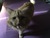 User post image