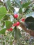User post image