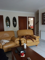 User post image