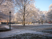 User post image