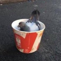 User post image