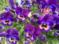 User post image