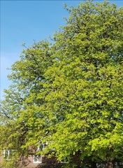 User post image