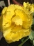 User post image