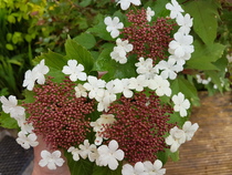User post image