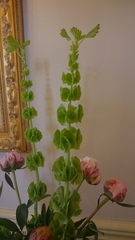 User post image