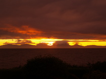 User post image