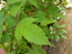 User post image