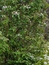 User post image