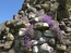 User post image
