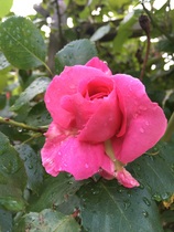 User post image