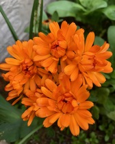 User post image