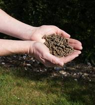 User post image