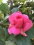 User post image