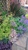 User post image