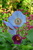 User post image