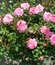 User post image