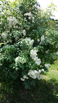 User post image