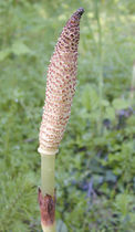 User post image