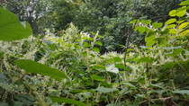 User post image